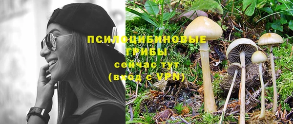прущая мука Белоозёрский