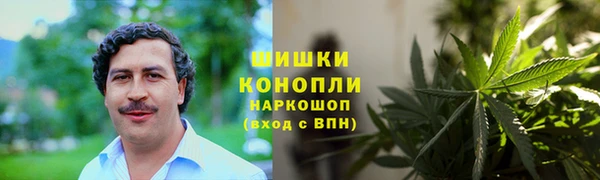 ALPHA PVP Белокуриха