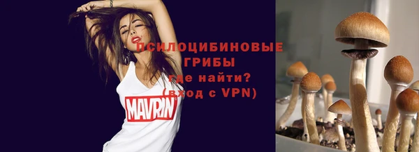гашик Беломорск
