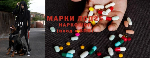 гашик Беломорск